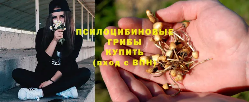 Галлюциногенные грибы MAGIC MUSHROOMS  как найти наркотики  Мегион 